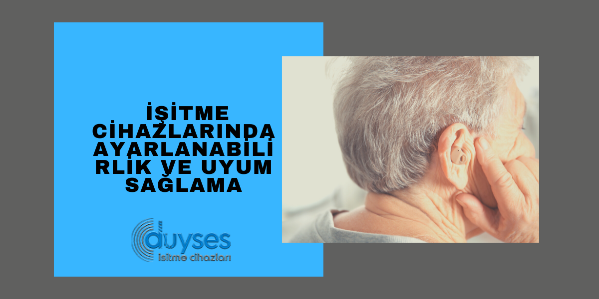 isitme-cihazlarinda-ayanabilril-ve-uyum-saglama-gorsel-1